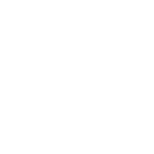 Aguilera Realty Team white logo